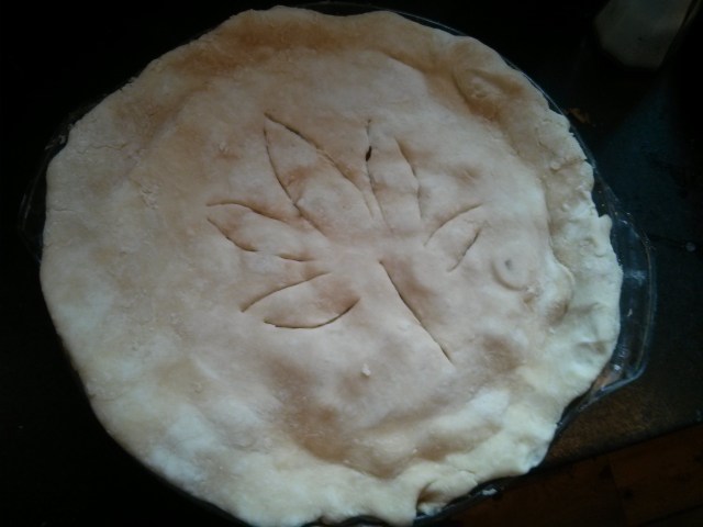 Pork Pie for Lunch on Pi Day