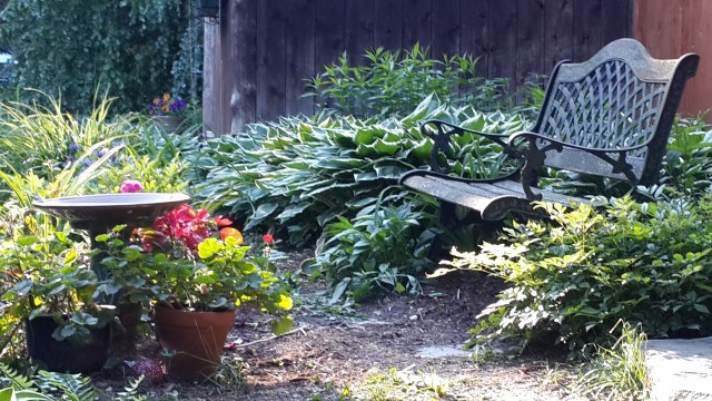 garden bench and birdbath