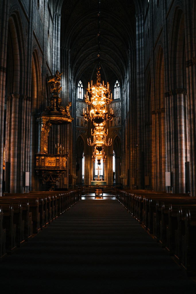 Photo by David Pavka on Unsplash
  
